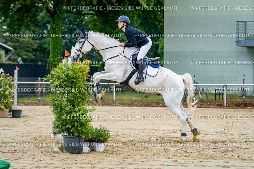 DSC01838 | Pferdegrafie