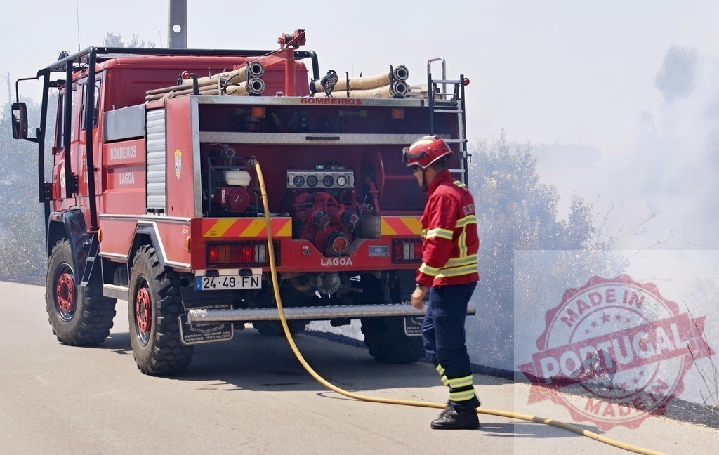Firefighter checking hose near fire engine during wildfire | Firefighter standing by fire apparatus connected to a hose, dealing with wildfire smoke - Realized with Pictrs.com