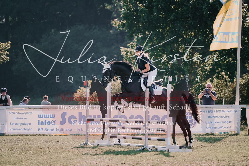 DSC_4755 | Pferde- und Turnierfotografie in Westsachsen. Pferdeportraits, Auftragszeichnungen und intuitive Kunst.