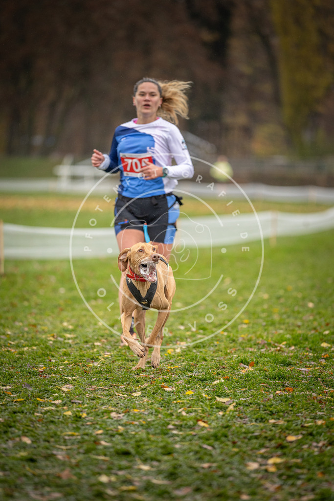 CaniXpix_DV3A9415 | Hundefotografie, Tierfotograf, Pfotenfotografie, Fotoshooting Hund, Hunde Portrait, Hundesport, Hundeportraits, Heideshooting, Hunde, Sportfotograf, Hundefotograf, Turnierhundsport, THS,  - Realisiert mit Pictrs.com