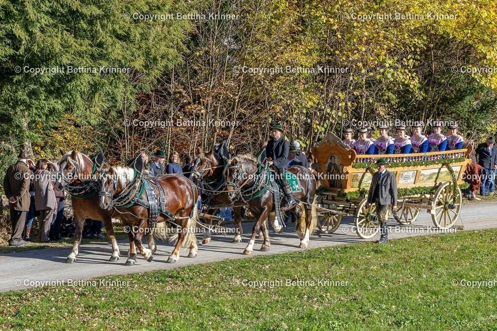 LBT25-826 | foto-bettina-krinner - Realisiert mit Pictrs.com