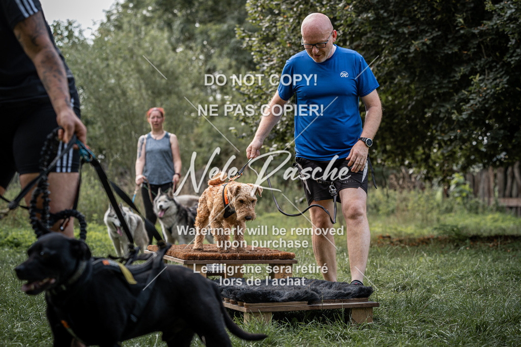nelerasche_SoLauf_251 | nelerasche