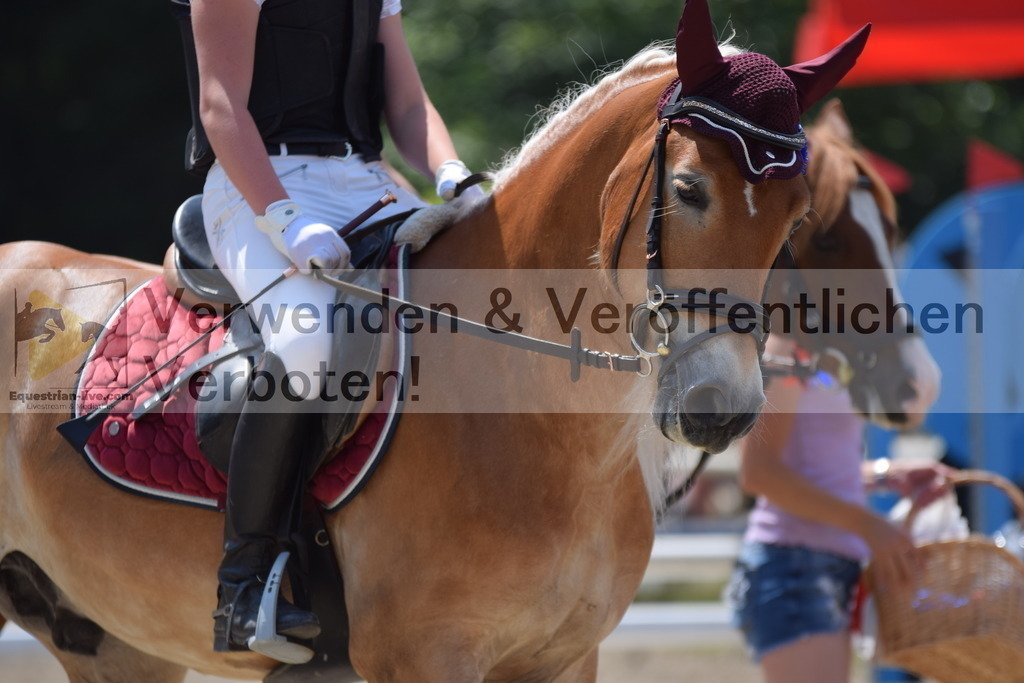 DSC_0003 | equestrian-live-com