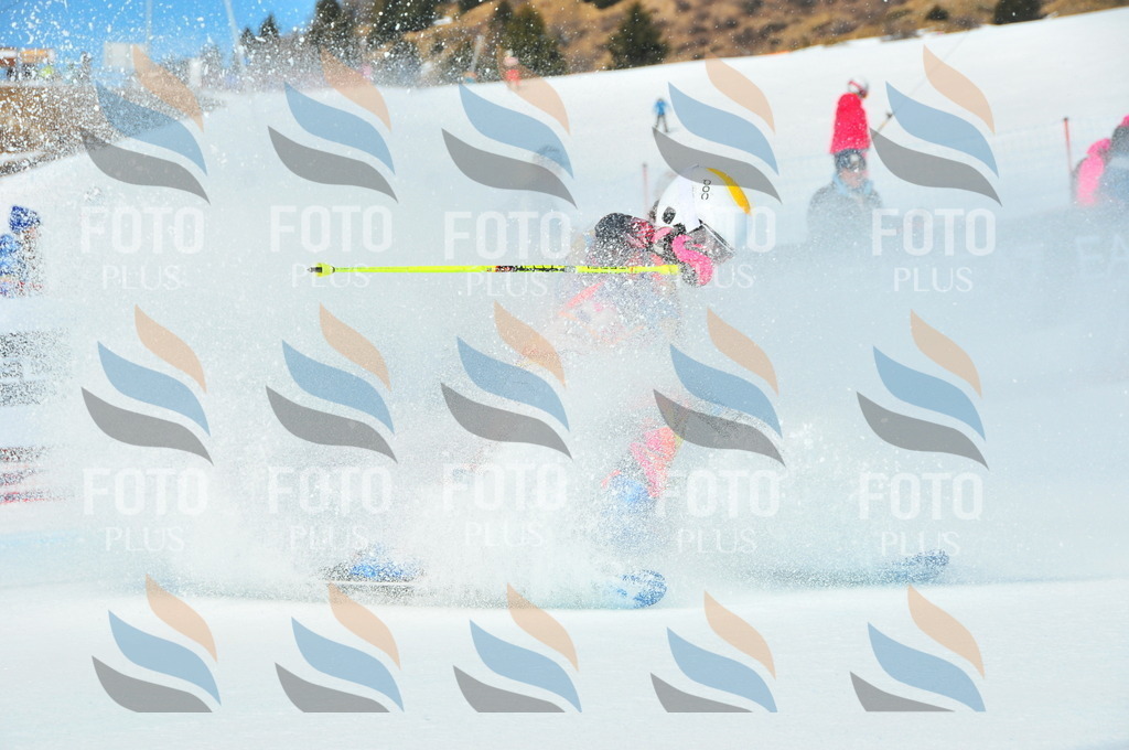 DSC_4257 | holidayphoto