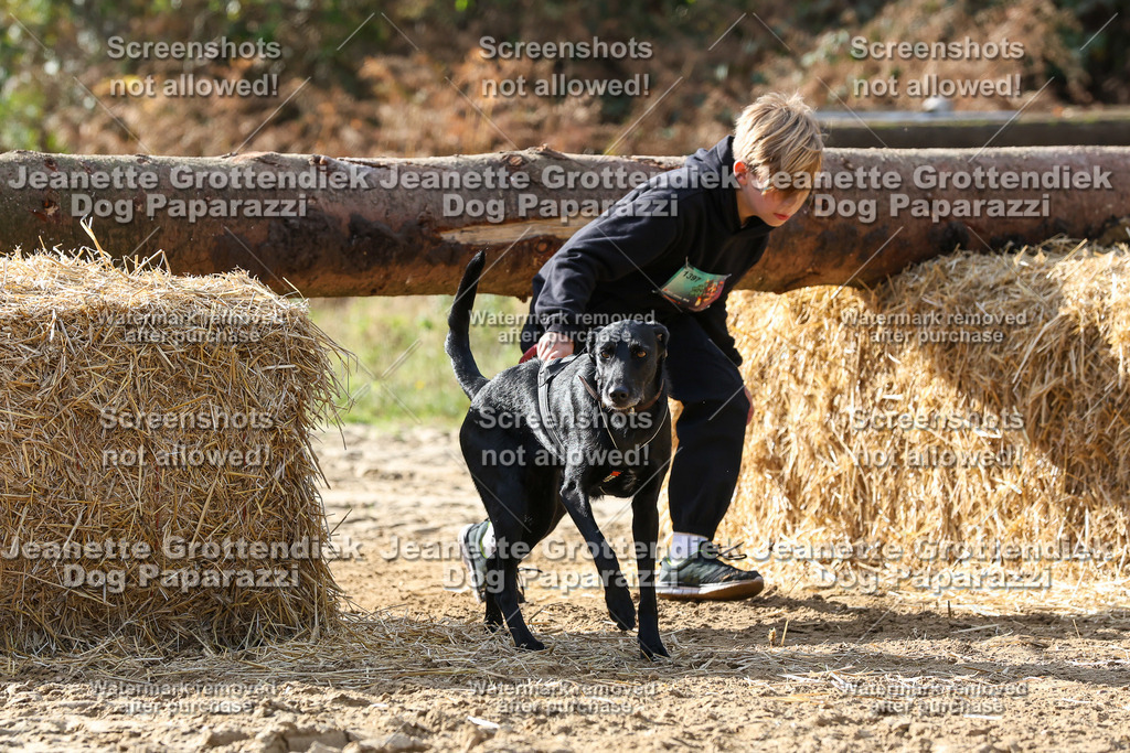 Dog Paparazzi - Strongdog 10-25-5833 | Dog Paparazzi Jeanette Grottendiek Fotografie & Videografie - Realisiert mit Pictrs.com