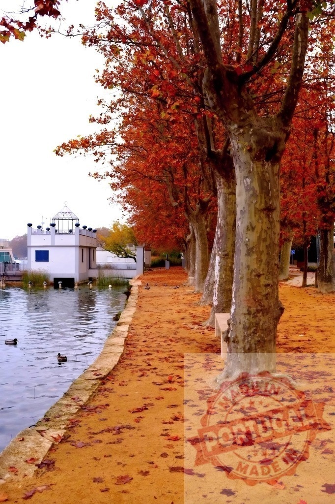 Autumn trees lining lake path with ducks and building | Autumn colored trees lining a tranquil lake with floating ducks and a small building - Realisiert mit Pictrs.com