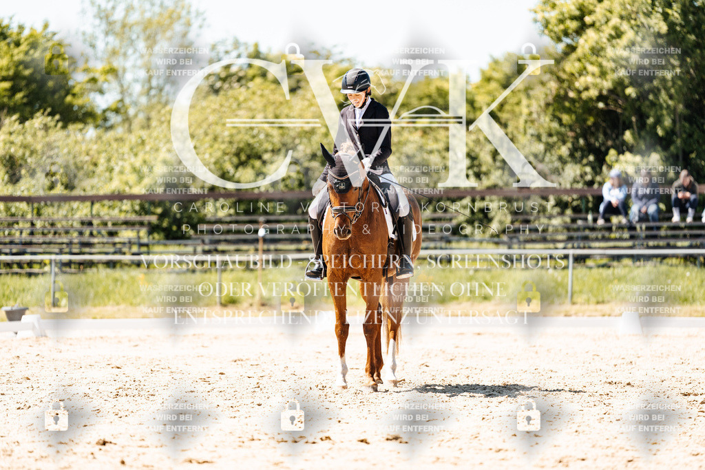 CK906012 | Turnierfotografie Pferdefotografie Trier Rheinland-Pfalz Pferdesport Reitsport Tierfotografie Sportfotografie Pferdevideo Pferdevideografie Equestrianvideography equestrianphotography  - Realisiert mit Pictrs.com