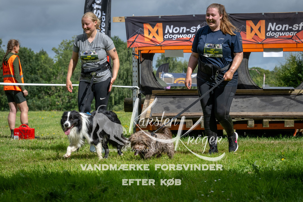 1116_ZZ92176 | kk-dogfotos