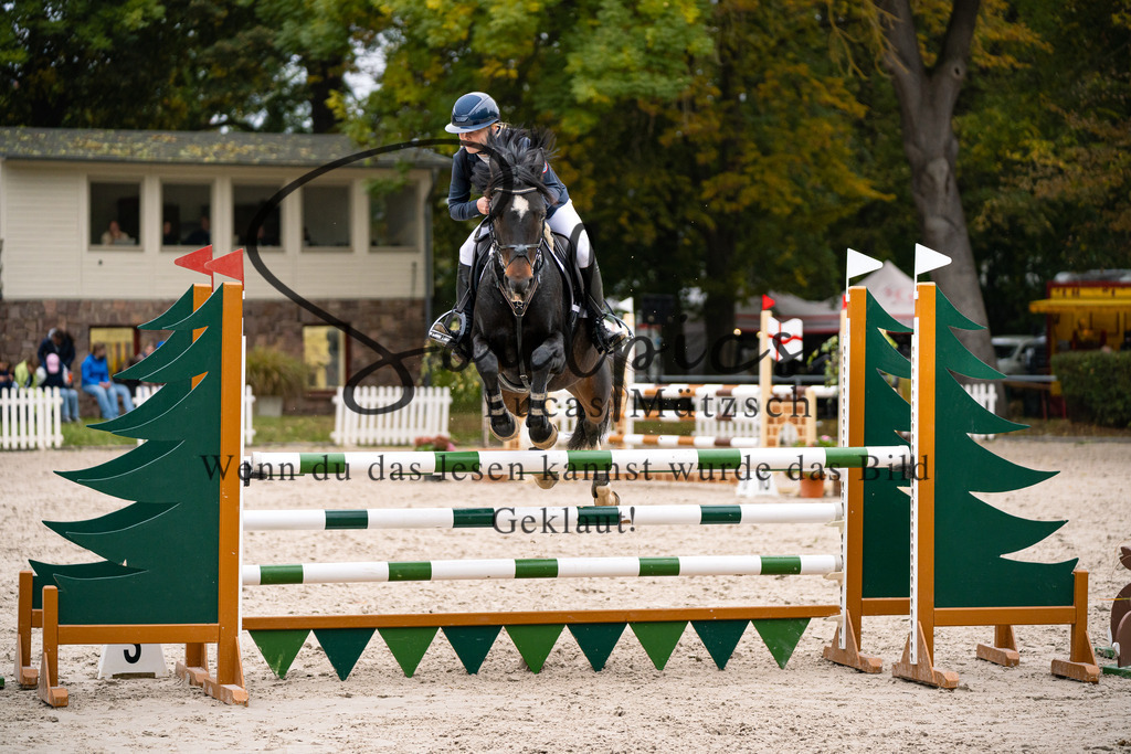 A7V00036 | Pferdefotograf