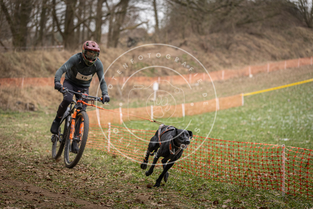 Pfotenfotografie_DV3A6877 | Hundefotografie, Tierfotograf, Pfotenfotografie, Fotoshooting Hund, Hunde Portrait, Hundesport, Hundeportraits, Heideshooting, Hunde, Sportfotograf, Hundefotograf, Turnierhundsport, THS,  - Realisiert mit Pictrs.com