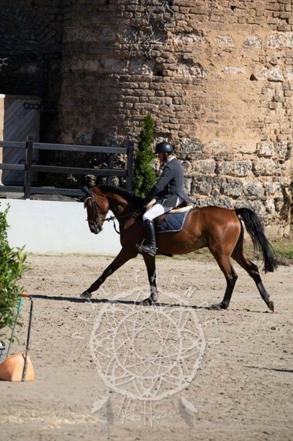 2B4A0470 | pixelfaenger - Realisiert mit Pictrs.com