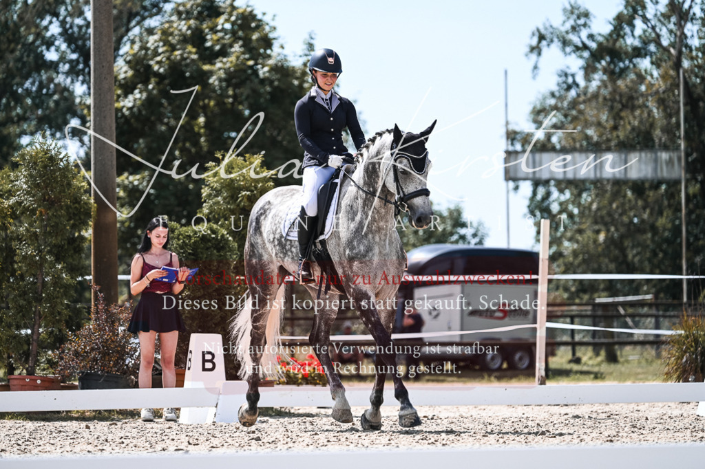 DSC_5578 | Pferde- und Turnierfotografie in Westsachsen. Pferdeportraits, Auftragszeichnungen und intuitive Kunst.