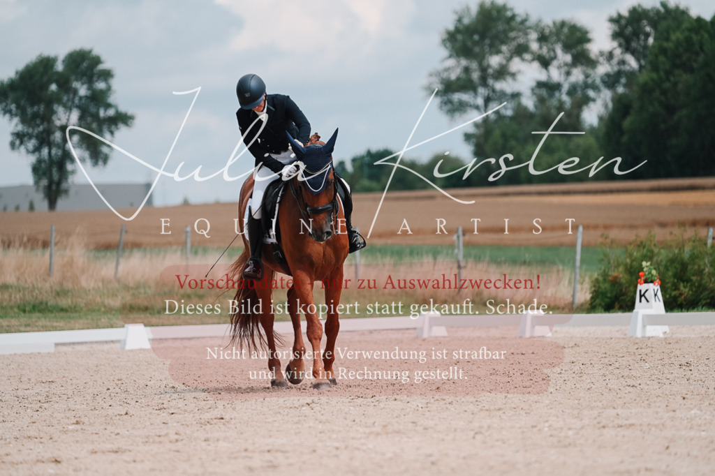 DSC_4238 | Pferde- und Turnierfotografie in Westsachsen. Pferdeportraits, Auftragszeichnungen und intuitive Kunst.