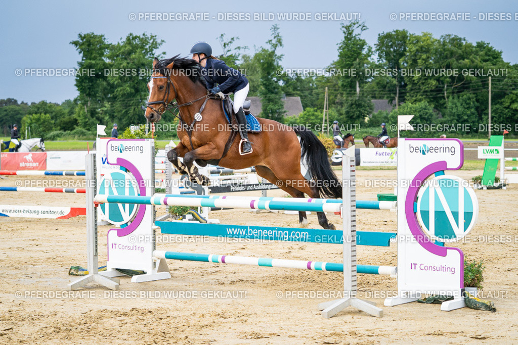 DSC03885 | Pferdegrafie