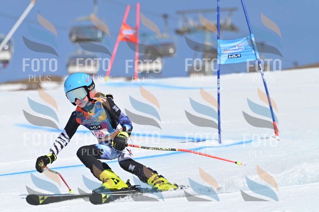 BGV_8895 | holidayphoto