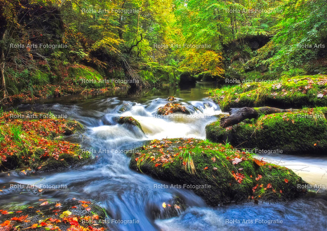 000079-23102006-093514_Schottland | Im Foto-Shop von RoHa Arts Fotografie können Sie verschiedene Fotos und Fotoprodukte kaufen. - Realisiert mit Pictrs.com