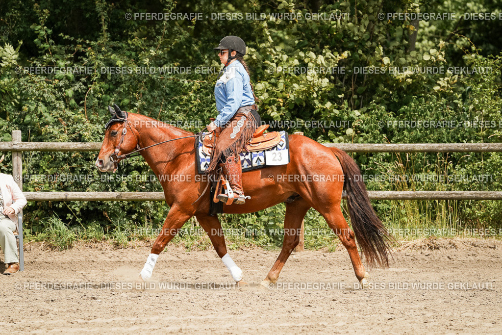 DSC00077 | Pferdegrafie