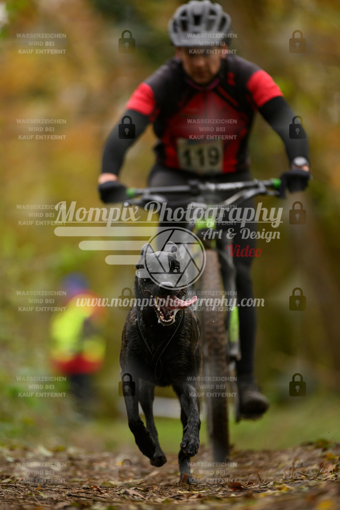 MompixPhotography_Bischwiller24_SA_VTT-38 | PayLife