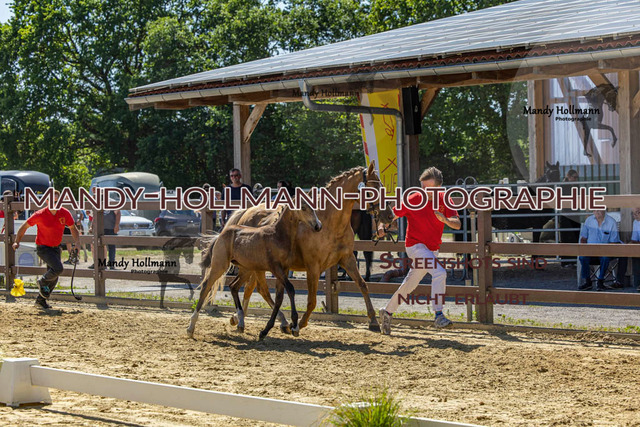 FS WST 26 (847 von 1143) | mandyhollmannphotographie