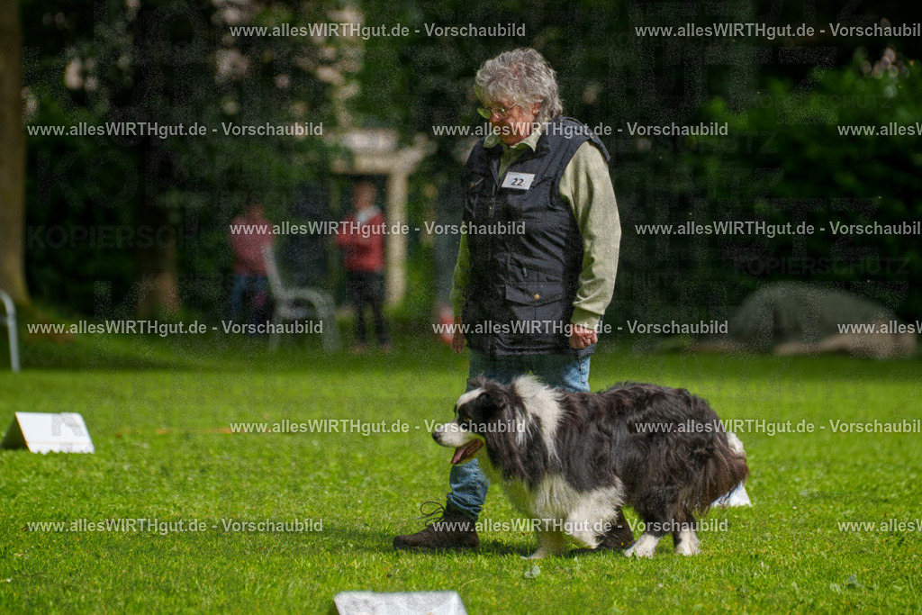 @allesWIRTHgut_Tierfotografie - www.allesWIRTHgut.de - 7R502704 | Professionelle Tierfotografie in Mönchengladbach von Daniel Wirth (allesWIRTHgut). Liebevolle & natürliche Bilder von Hunden & Katzen für unvergessliche Erinnerungen.