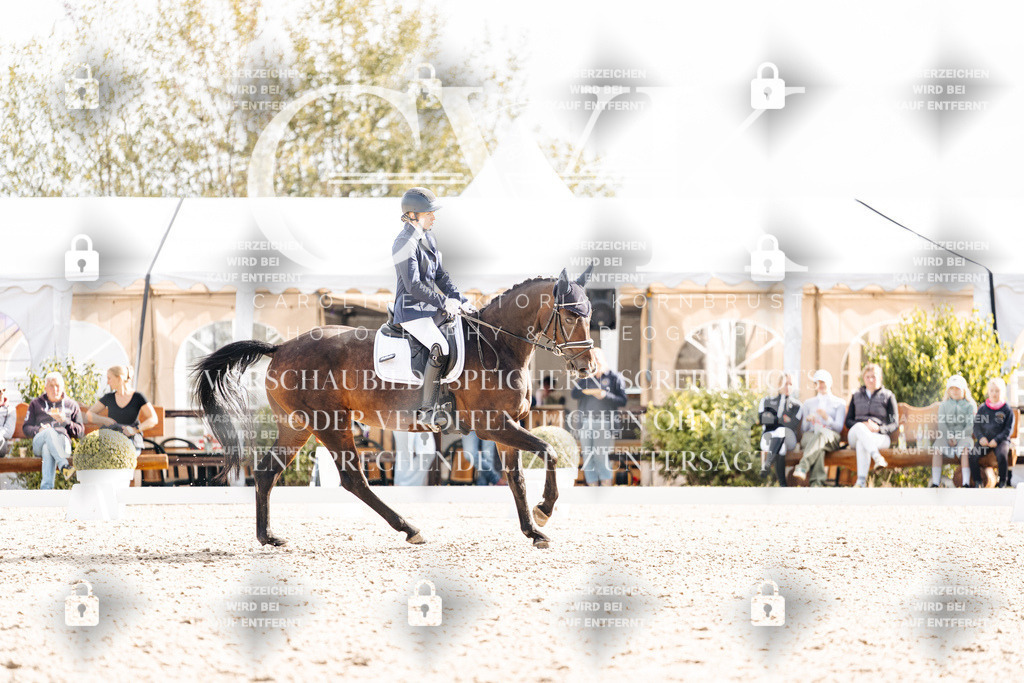 CK901486 | Turnierfotografie Pferdefotografie Trier Rheinland-Pfalz Pferdesport Reitsport Tierfotografie Sportfotografie Pferdevideo Pferdevideografie Equestrianvideography equestrianphotography  - Realisiert mit Pictrs.com