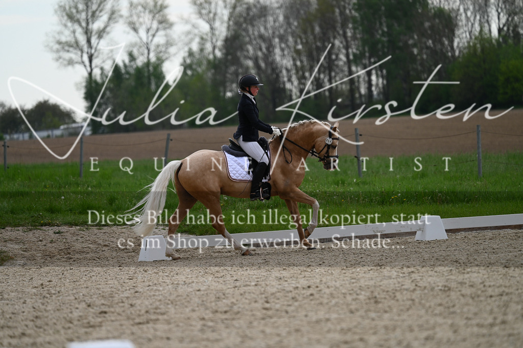 20230512_JK-Röhrsdorf-02-108 | Pferde- und Turnierfotografie in Westsachsen. Pferdeportraits, Auftragszeichnungen und intuitive Kunst.