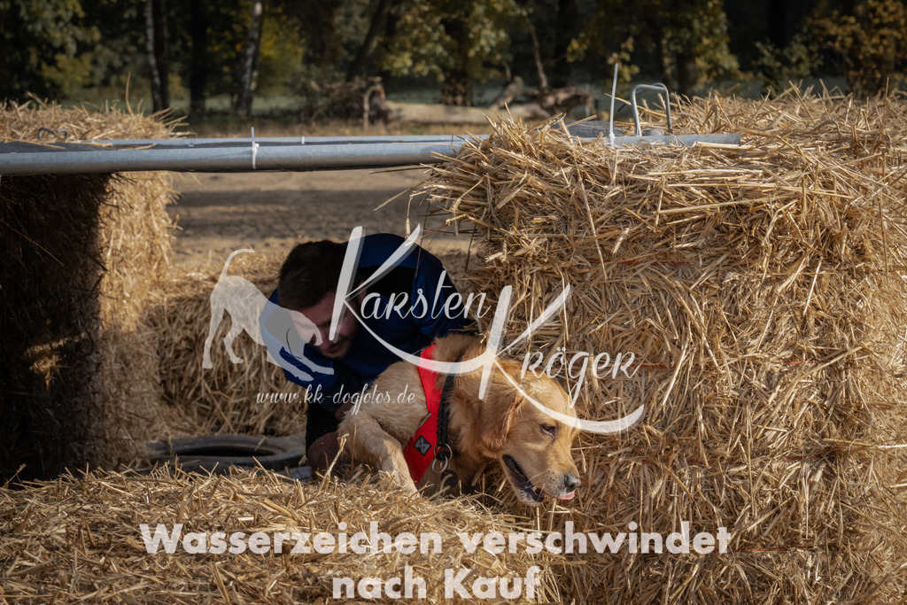 1038_ZZ99056 | kk-dogfotos