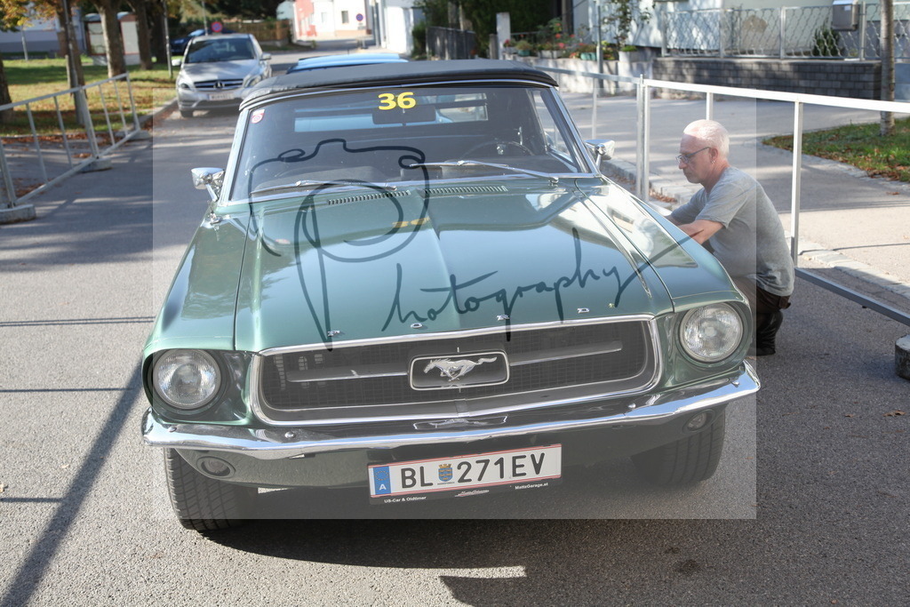 IMG_4249 | Gerhard Witt