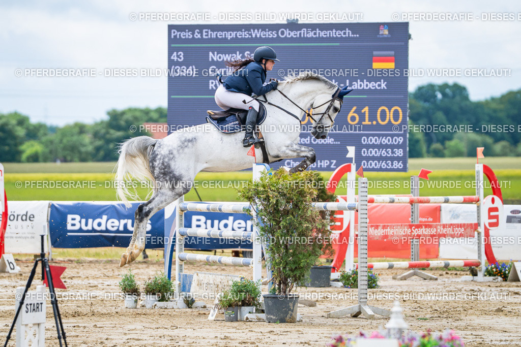 DSC04698 | Pferdegrafie