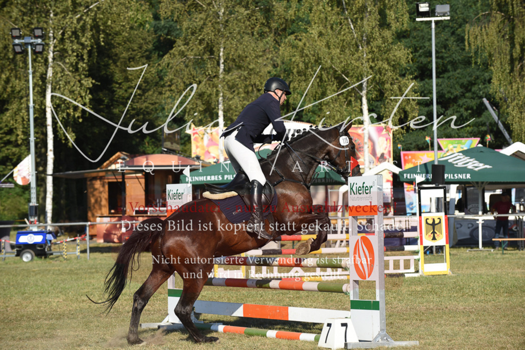 DSC_5119 | Pferde- und Turnierfotografie in Westsachsen. Pferdeportraits, Auftragszeichnungen und intuitive Kunst.