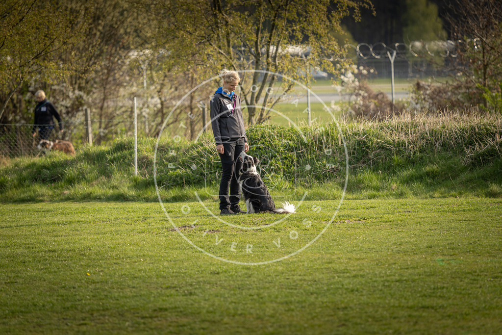 Pfotenfotografie_DV3A4752 | Hundefotografie, Tierfotograf, Pfotenfotografie, Fotoshooting Hund, Hunde Portrait, Hundesport, Hundeportraits, Heideshooting, Hunde, Sportfotograf, Hundefotograf, Turnierhundsport, THS,  - Realisiert mit Pictrs.com
