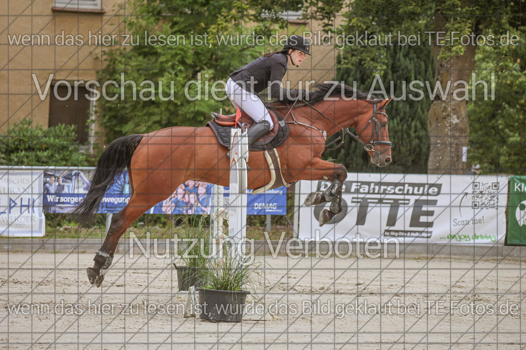 2025-09-22_09-40-06_MG_4191 | TE-Fotos