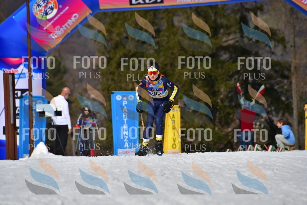 _DSC0855 | holidayphoto