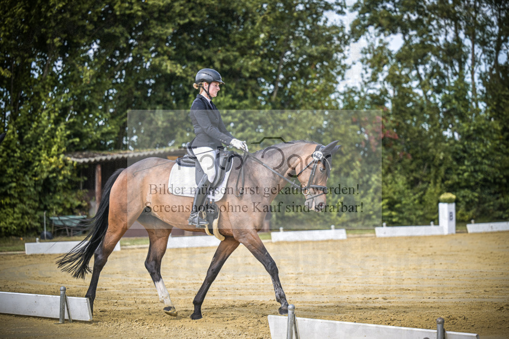 DOS_4782 | Entdecke hochwertige Reitturnierfotos von Foto Oger. Professionell, emotional und authentisch – jetzt Lieblingsmomente im Shop bestellen.Deutschlandweite Turnierfotografie. - Realisiert mit Pictrs.com