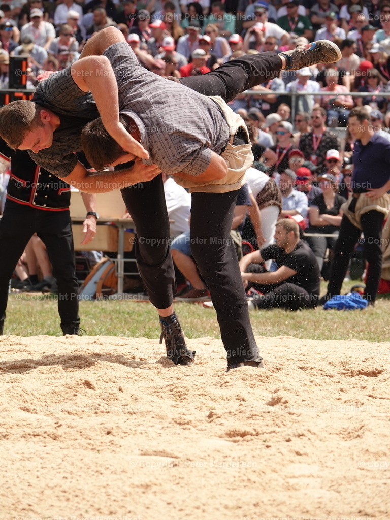 DSC05003 | Schwingen - Realisiert mit Pictrs.com