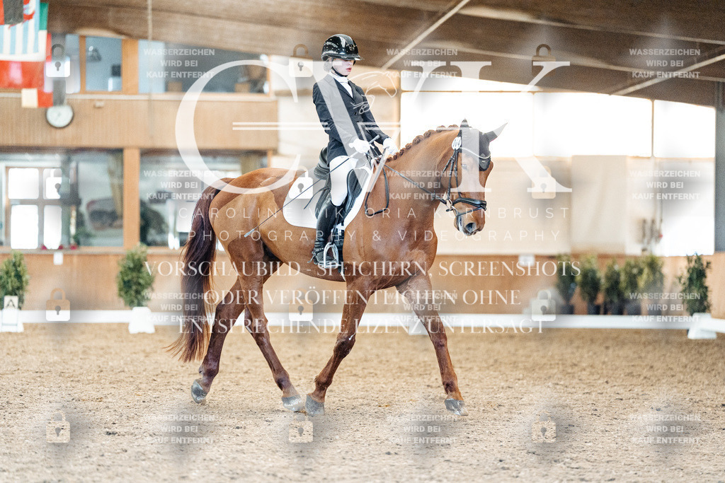 CK908670 | Turnierfotografie Pferdefotografie Trier Rheinland-Pfalz Pferdesport Reitsport Tierfotografie Sportfotografie Pferdevideo Pferdevideografie Equestrianvideography equestrianphotography  - Realisiert mit Pictrs.com