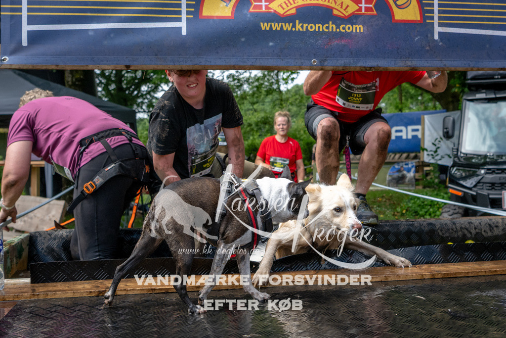 1114_ZZ93179 | kk-dogfotos