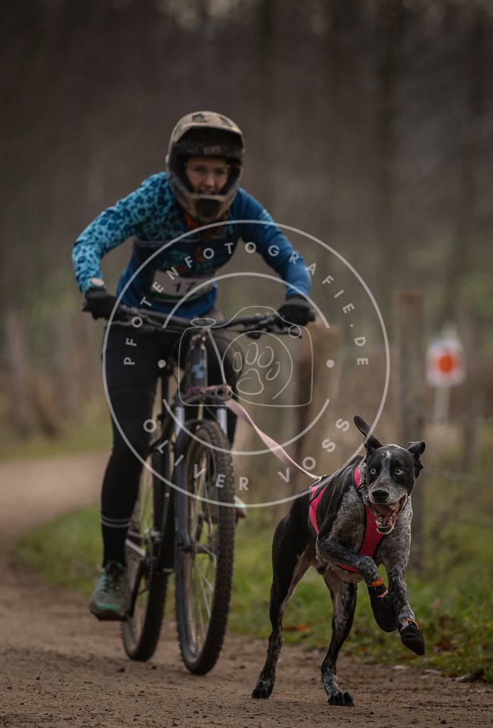 Pfotenfotografie_DV3A1894 | Hundefotografie, Tierfotograf, Pfotenfotografie, Fotoshooting Hund, Hunde Portrait, Hundesport, Hundeportraits, Heideshooting, Hunde, Sportfotograf, Hundefotograf, Turnierhundsport, THS,  - Realisiert mit Pictrs.com