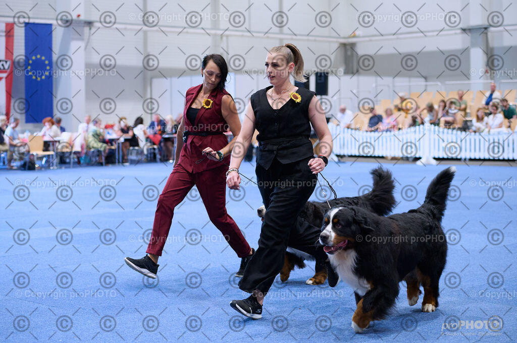 202406_ÖKV-IHA-Tulln24_DSC_3710 | proPHOTO - Realisiert mit Pictrs.com