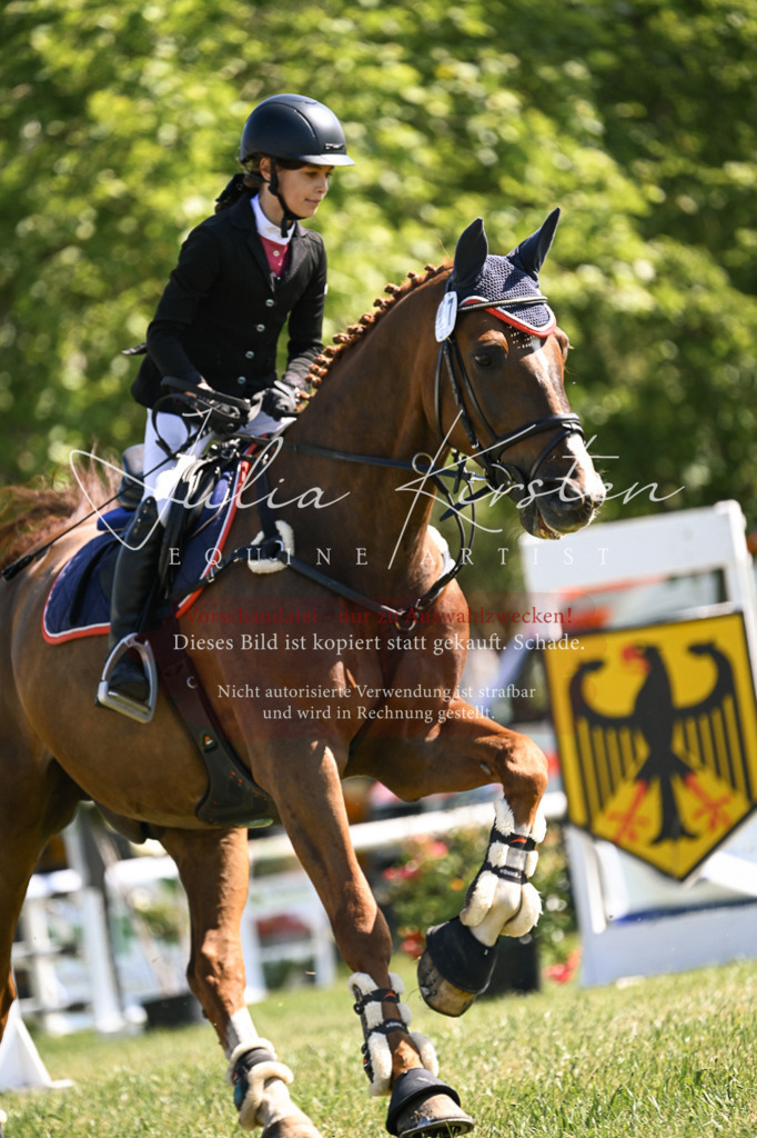 DSC_8752 | Pferde- und Turnierfotografie in Westsachsen. Pferdeportraits, Auftragszeichnungen und intuitive Kunst.