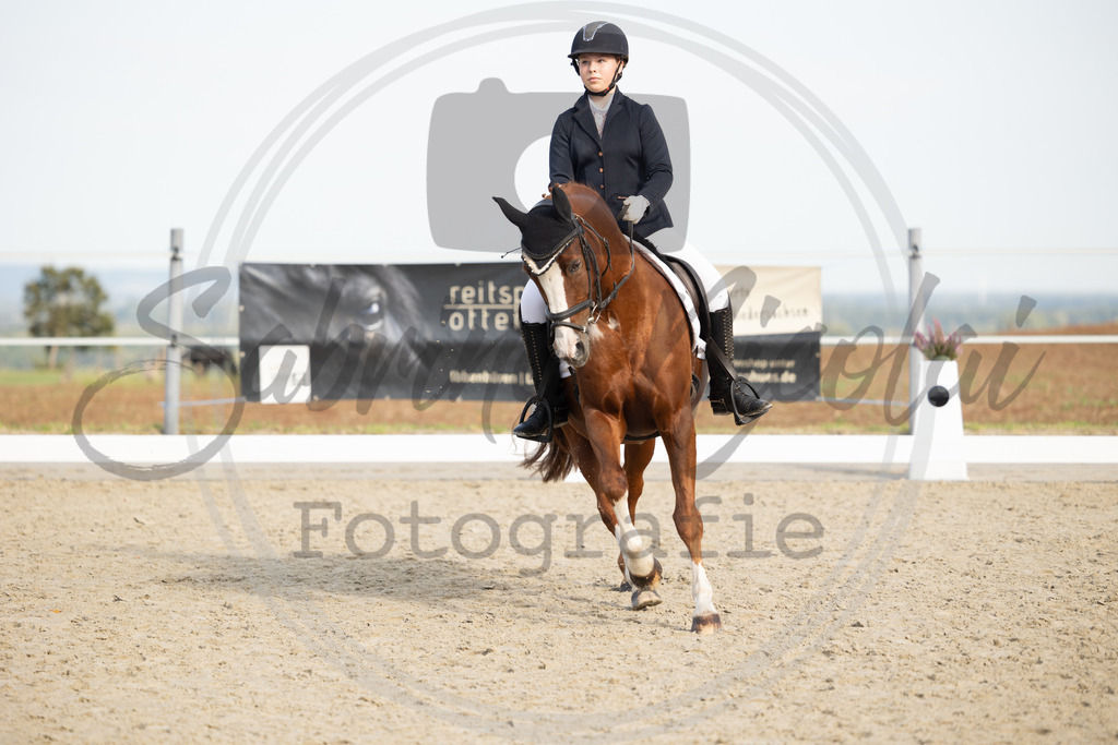 994A1202 | sabrinanicolaifotografie - Realisiert mit Pictrs.com