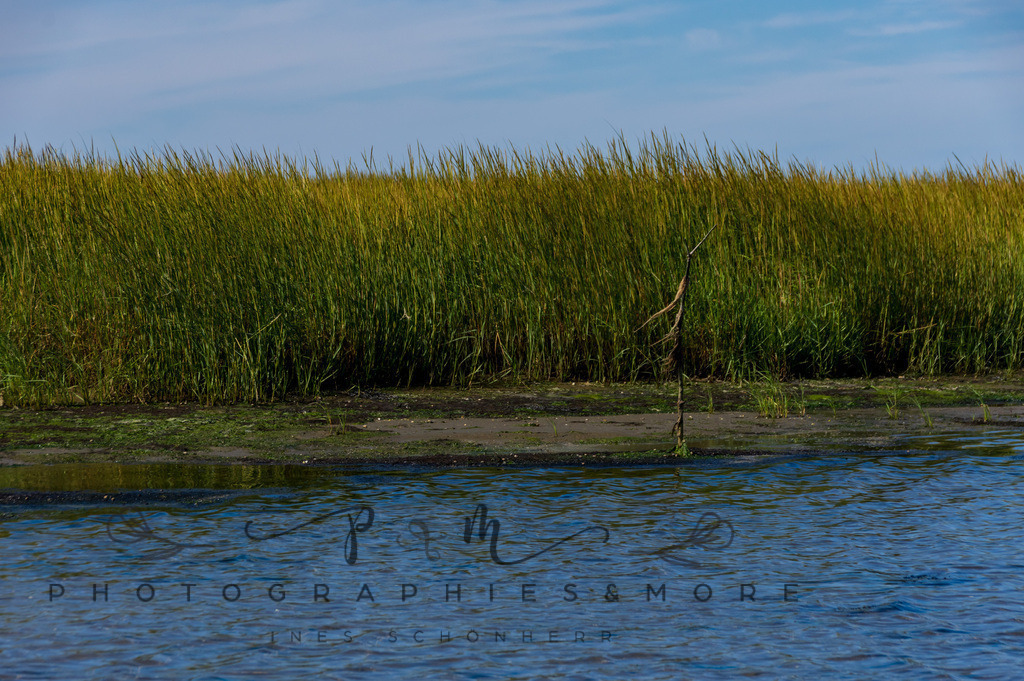 IMGP0429 | Nordseeinsel Mandö - Realisiert mit Pictrs.com