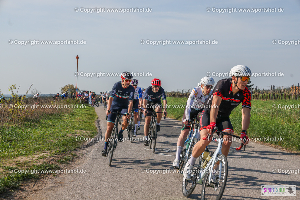 007A8714 | Neusiedlersee Radmarathon #neusiedlerseeradmarathon #neusiedlersee #nrm26 #yourpictrs #sportshot_your_pictrs