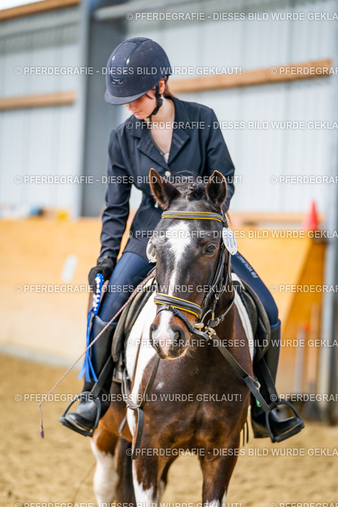 DSC03849 | Pferdegrafie