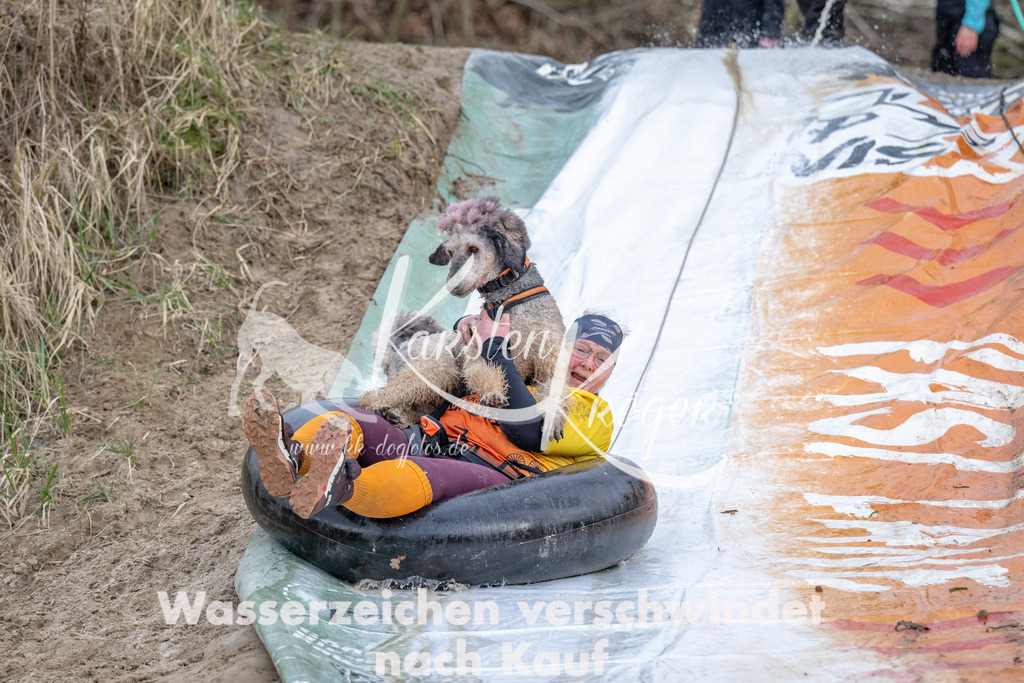1530_ZZ93851 | kk-dogfotos