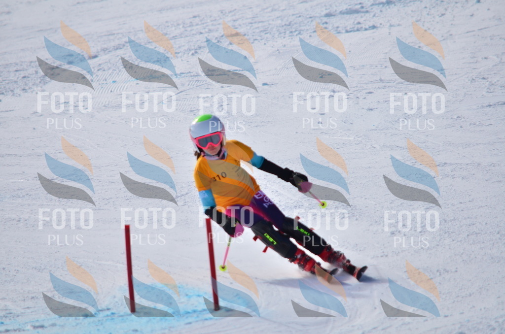 C9518 | holidayphoto