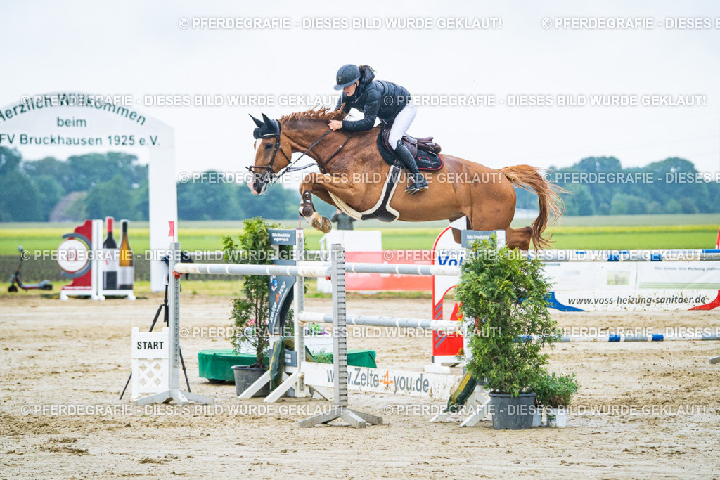 DSC00187 | Pferdegrafie