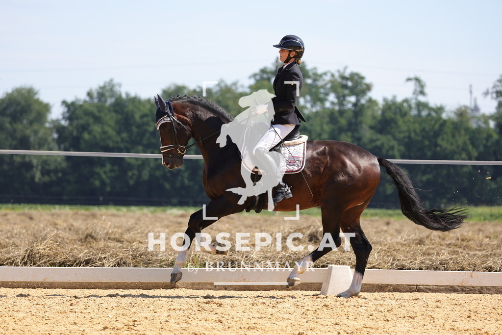 0P6A9645 | Willkommen bei Brunnmayr - Design & Fotografie – Ihrem Spezialisten für Reitturniere und Pferdeveranstaltungen in Oberösterreich, Salzburg und Bayern! Seit über 17 Jahren sind wir leidenschaftlich dabei.