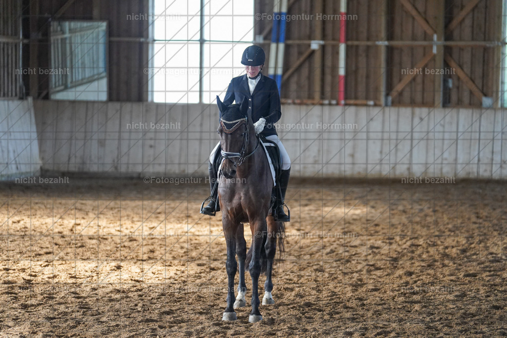 20230917-FAH00003 | Landsberg am Lech, 2023, Kaufbeuren, Kempten, Allgäu, Turnierfotografen Bayern, Fotoagentur Herrmann, Turnierbilder, Reitsport Fotos, Pferdefotograf, Augsburg, Bad Tölz, Dachau, Karlsfeld, Memmingen, Buchloe, Schwabmünchen