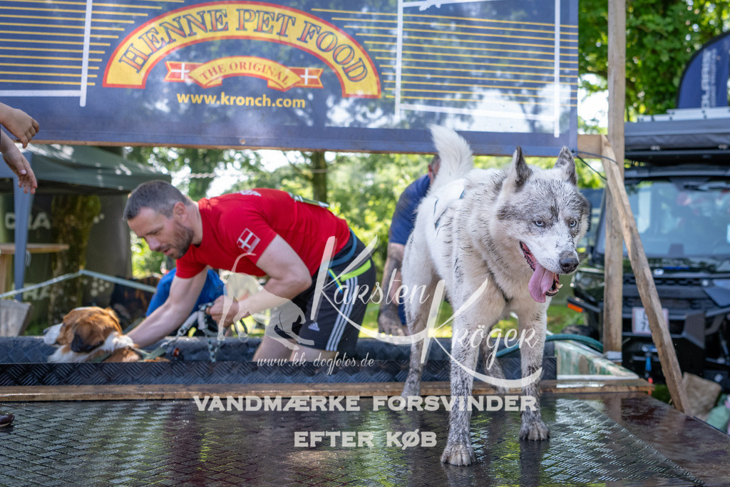 1417_ZZ93796 | kk-dogfotos